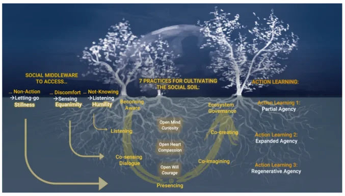  PROZESS-KARTE: Theory U Journey Map